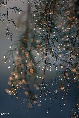file_74790514