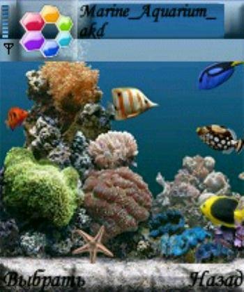 Коралловое царство.039