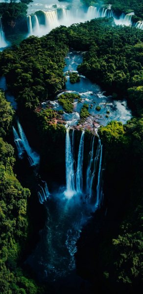 file_102431559