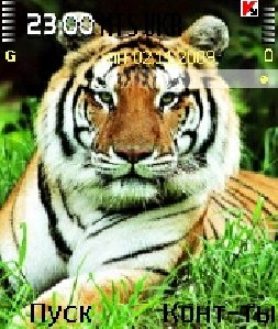 Tigra 0 1