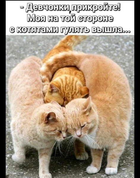 FB IMG 1777724338815