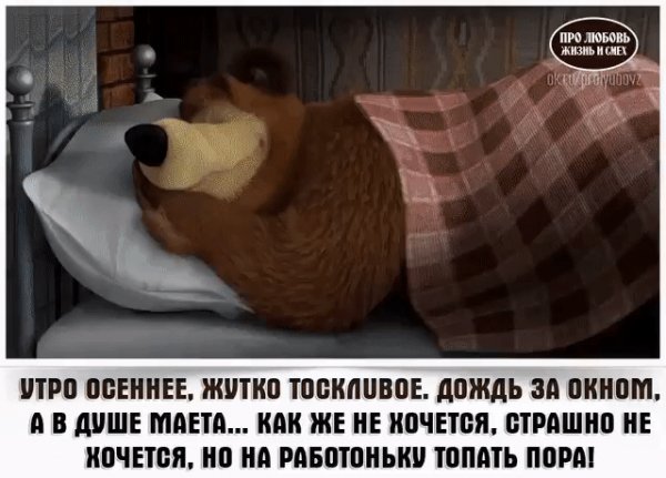 file_79254113