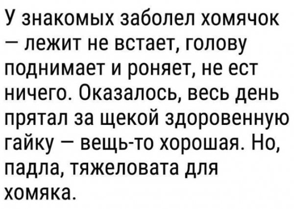 IMG 20180408 114956 0