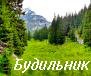 утро в лесу