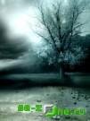 Lonely tree