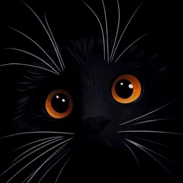 IMG 20251225 202155 383