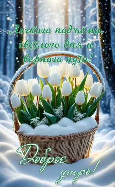 Легкого подъёма, светлого дня! Доброе утро!
