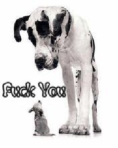 DogFuckyou