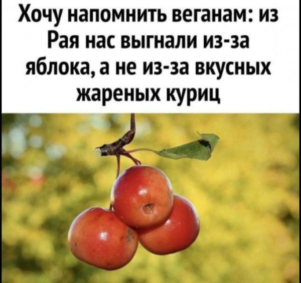 FB IMG 1778525278614