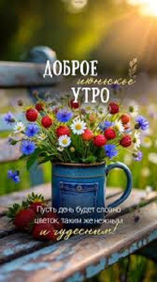 Доброе июньское утро...