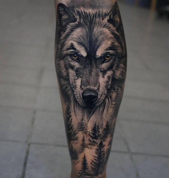 IMG 20250529 075158 541