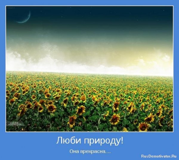 Люби природу, она прекрасна!