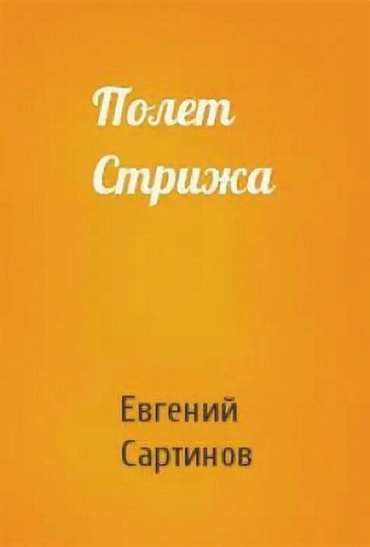 Сартинов Евгений Полёт стрижа