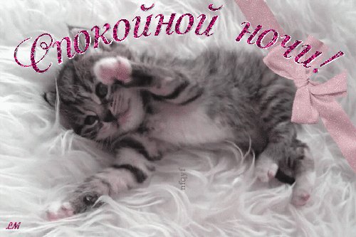 omphbvmxw4x1e9t