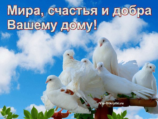 Мир вашему дому