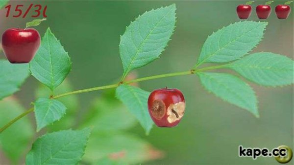 07c3e33271d9fa985137948cc2a85ac0