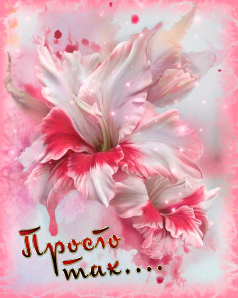 file_73646446