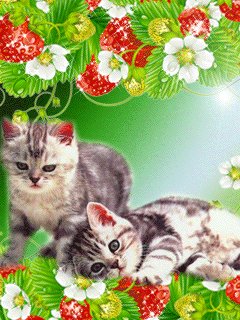 file_58177610