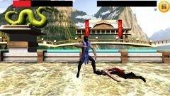 kung-fu-bitva-11.16