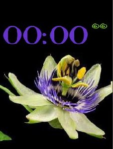 Цветок Alla1411 v.49