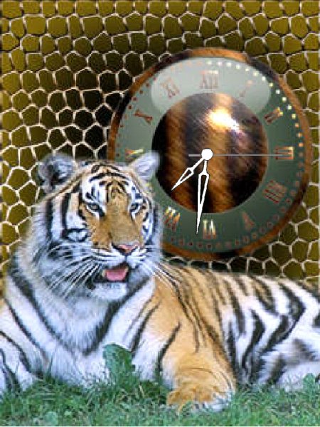 Tigr