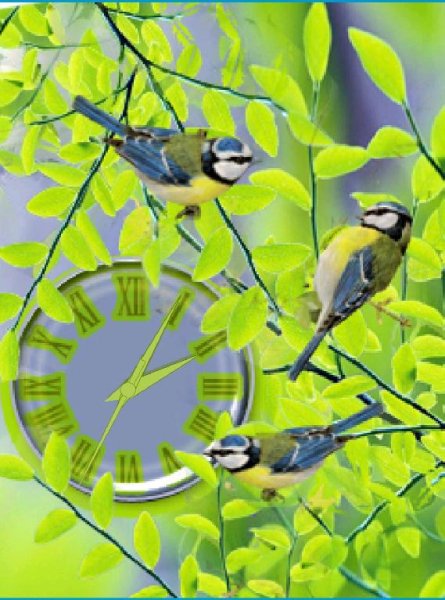 Яркая весна