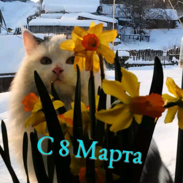 С 8 Марта