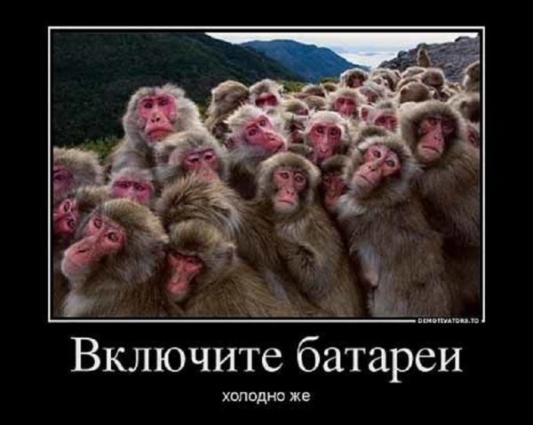 Холодно же...