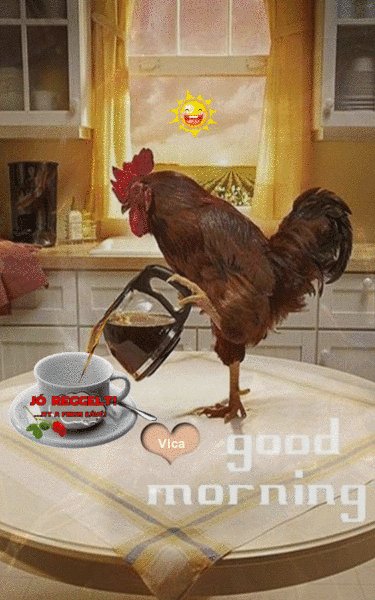 E3bdac11373e1938b6fecdb8acdbb278