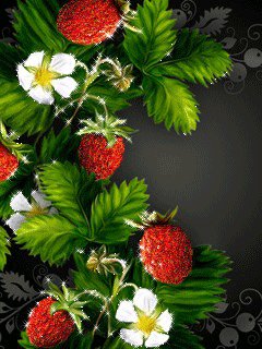 file_62898427