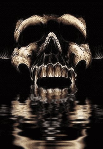 f31fdb8905368a93a65b