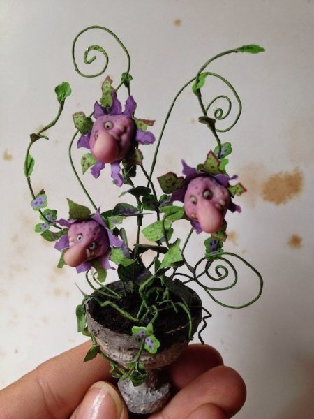 IMG 20260225 060039 168