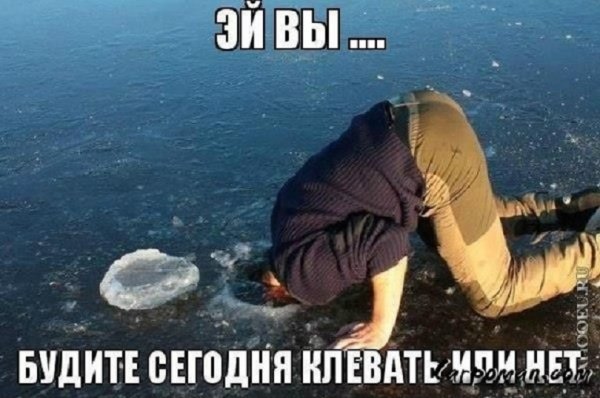 Эй вы...будите сегодня клевать или нет