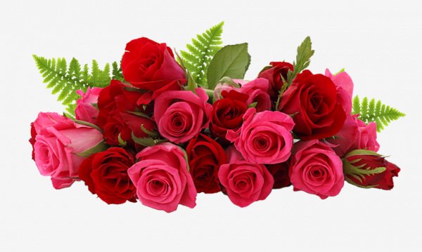 file_74975002