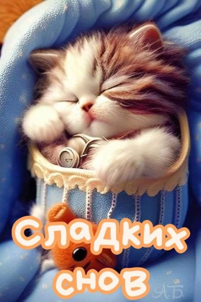 Открытка сладких