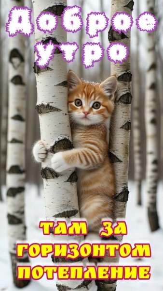 FB IMG 1771860783711