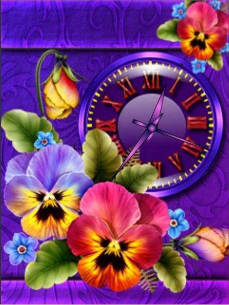 Анютины глазки (DX)