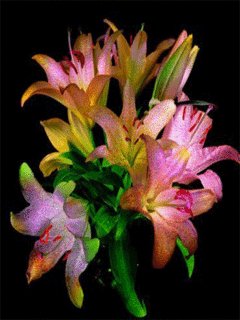 file_48302166