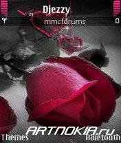 Rose-n-roses-v9-Nokia-Theme