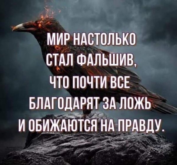 FB IMG 1617025043801