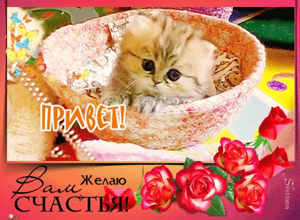 file_76801590
