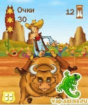 Rodeo Stars