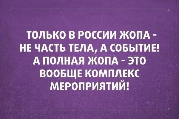 anekivformate17