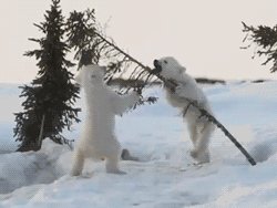 пока мама спит