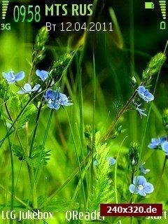 grass.sisx