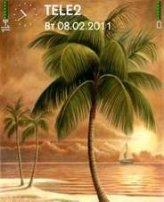 palms