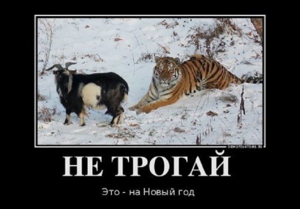 Не трогай, это на...