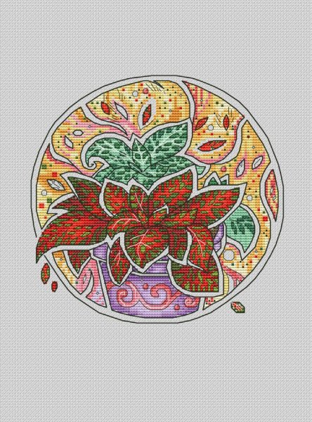 Фиттония ботаника (1)