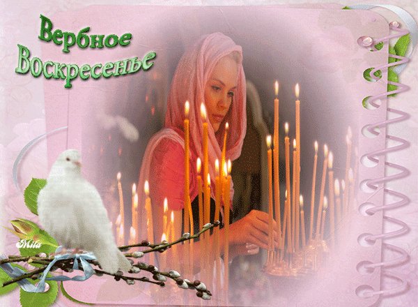 IMG 20170410 005111 3