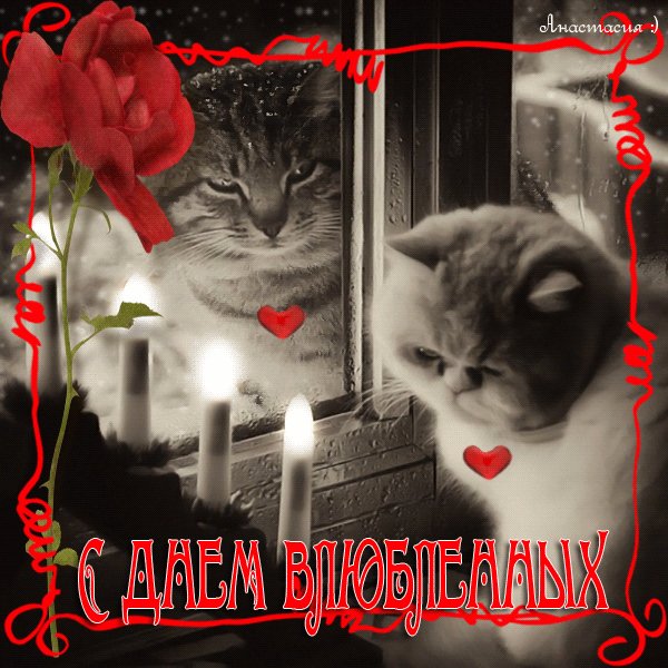 С Днем Влюбленных!